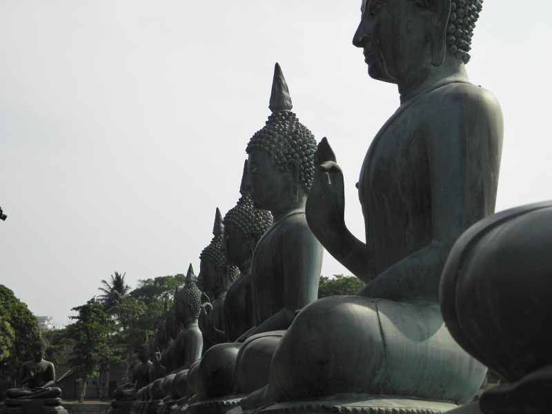 Tour Classic Sri Lanka Winter - 8 days/7 nights private tour — 16